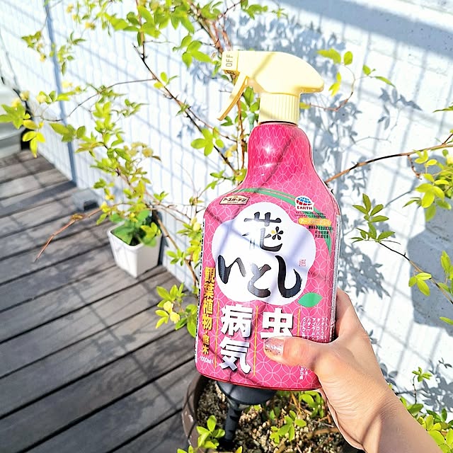 prettychieさんの部屋