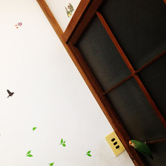 aoinokimiさんの実例写真