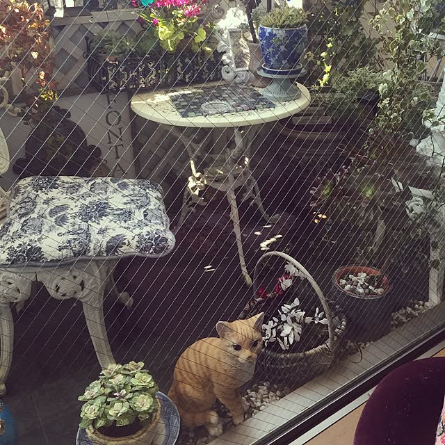 emmyyさんの実例写真