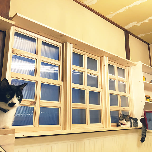 wacchiさんの実例写真