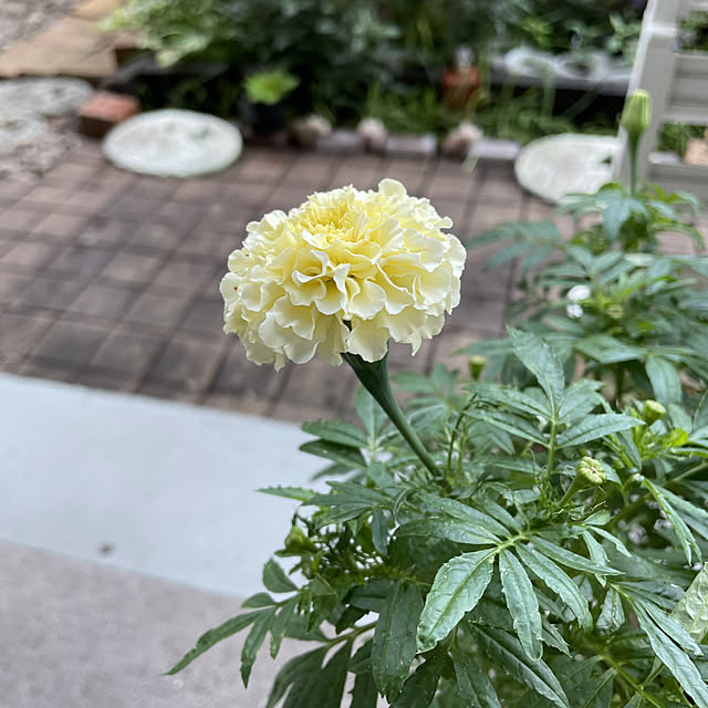 hirominさんの実例写真
