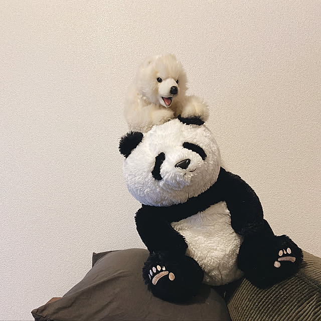 sinsinさんの実例写真