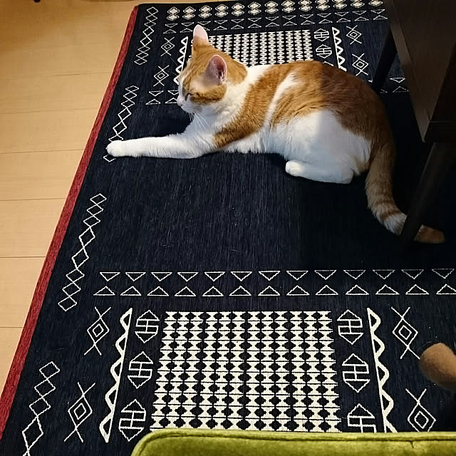 carinoさんの実例写真