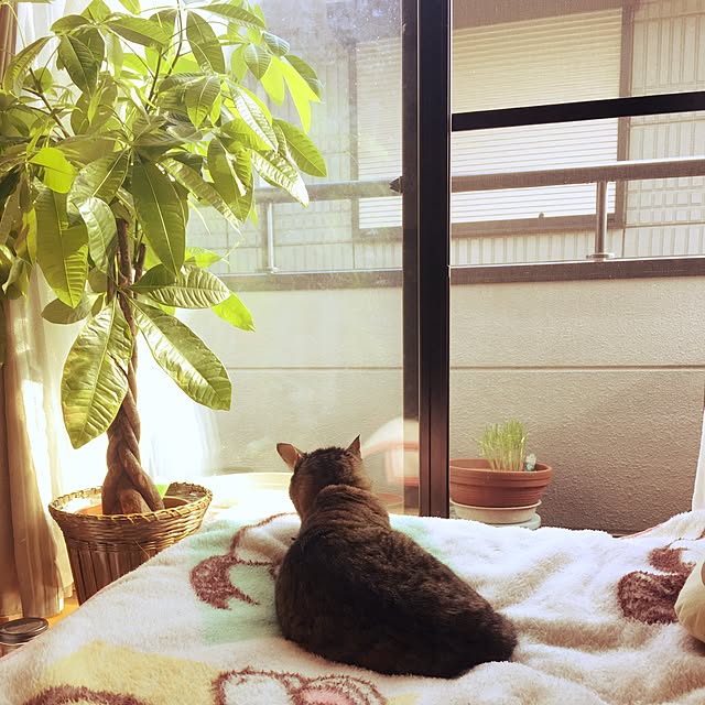 k.n.t.t.tさんの実例写真