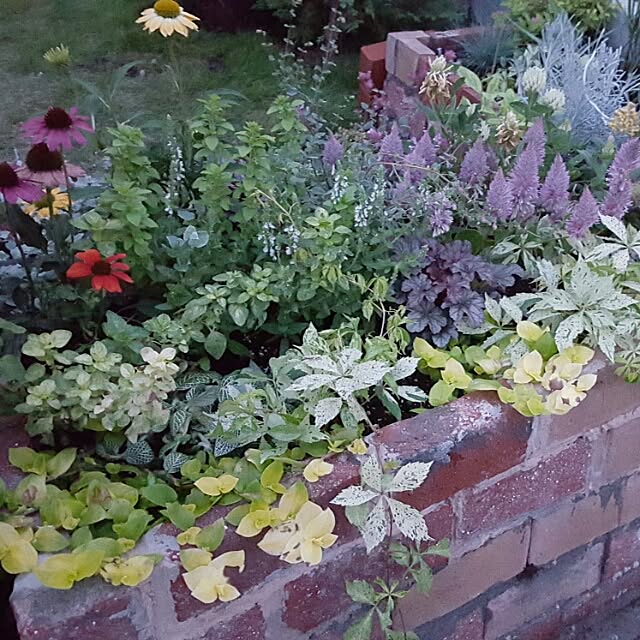 a-gardenさんの実例写真