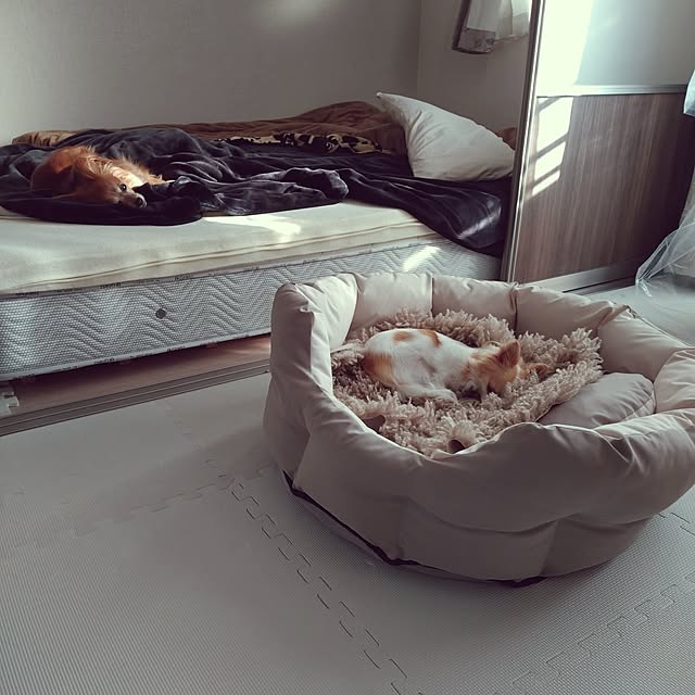 toratanさんの実例写真