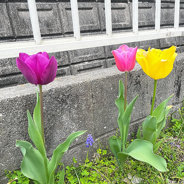 yokoさんの実例写真