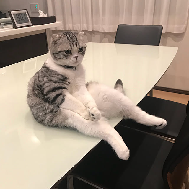 Dahliaさんの実例写真