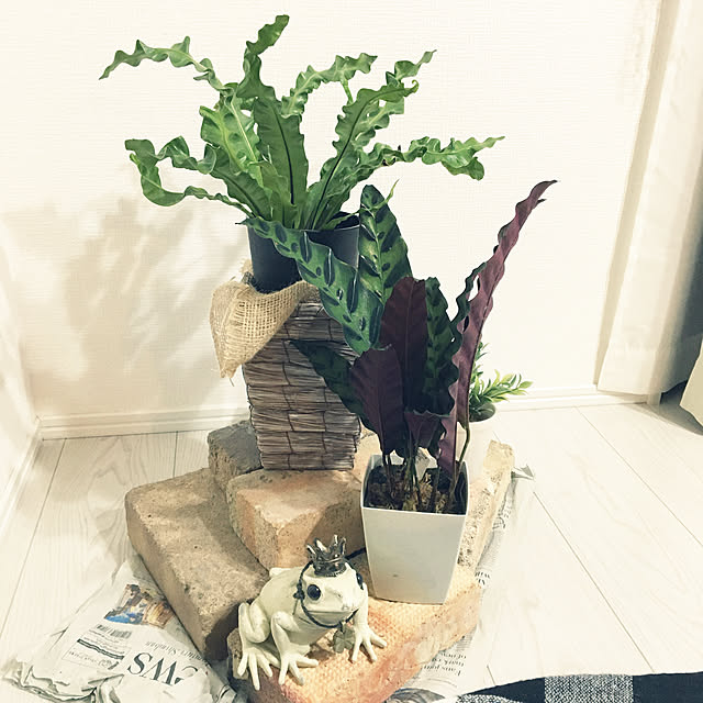 yoko2m.comさんの実例写真