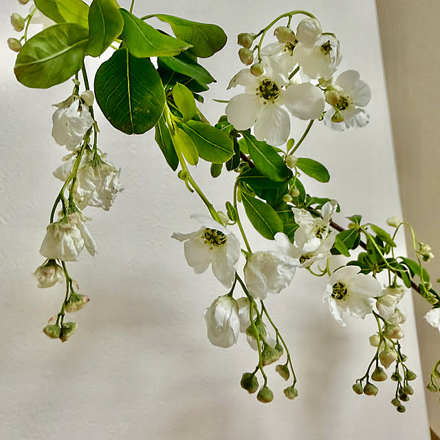 rikuerinka86さんの部屋