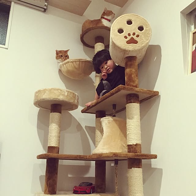 Shuichiさんの実例写真