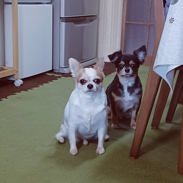 hiro-yさんの実例写真