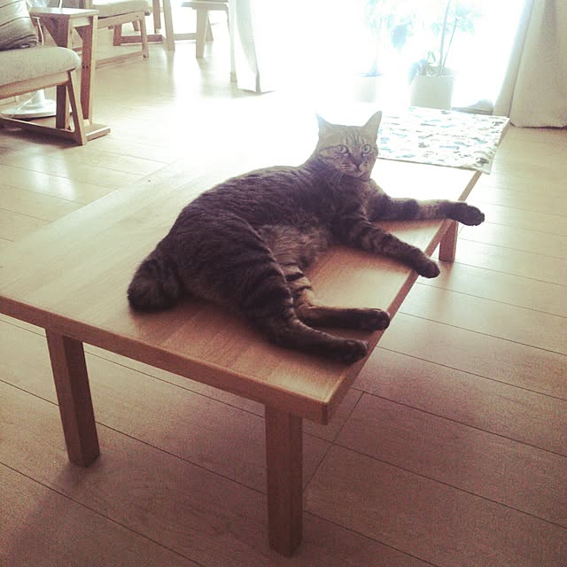 Hinataさんの実例写真