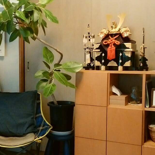 yutaさんの実例写真