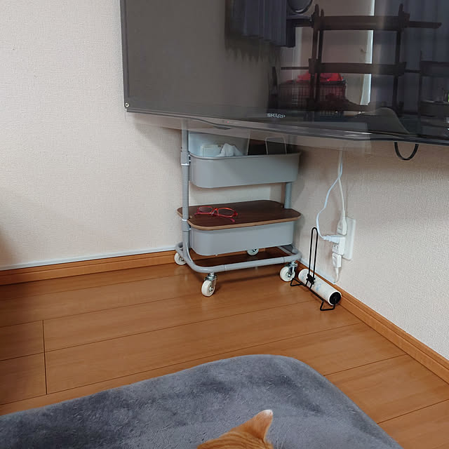 noguriさんの実例写真