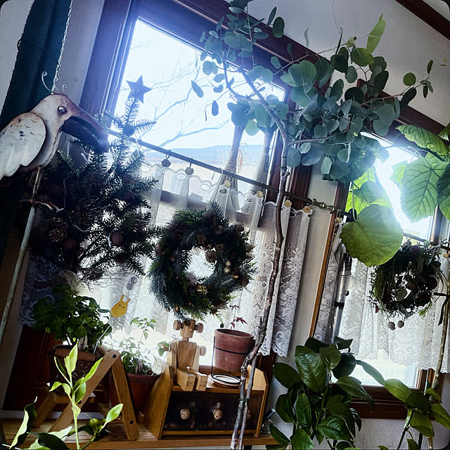 Ohigeさんの実例写真