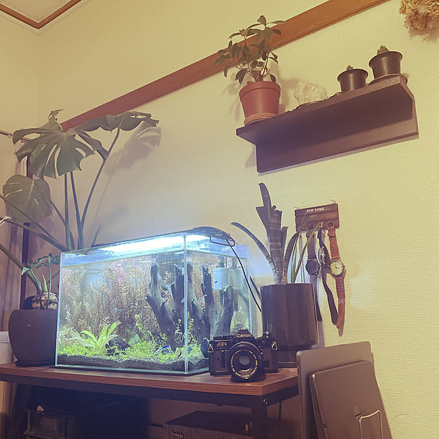 ryoさんの実例写真