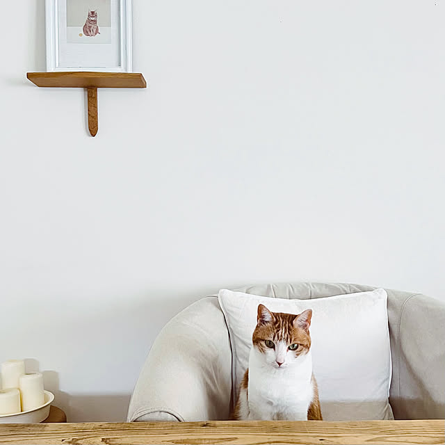 Sasaさんの実例写真