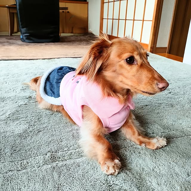 runaさんの実例写真