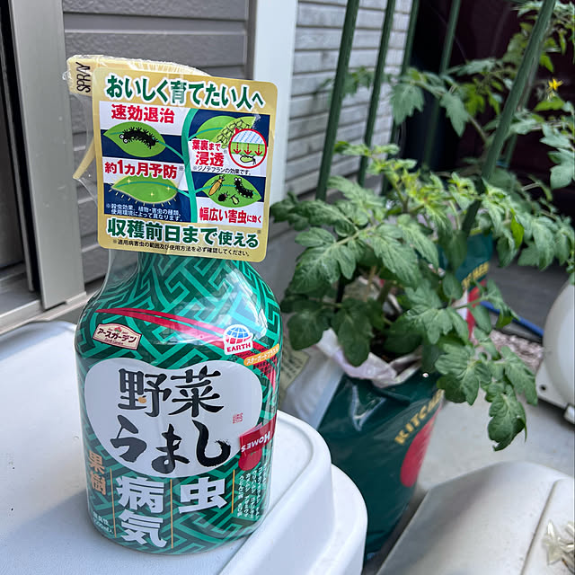 yumiさんの実例写真