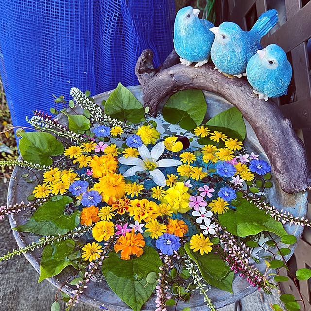 mocomocoさんの実例写真