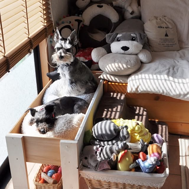 satobonmamaさんの実例写真