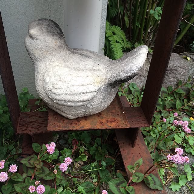 cocoさんの実例写真