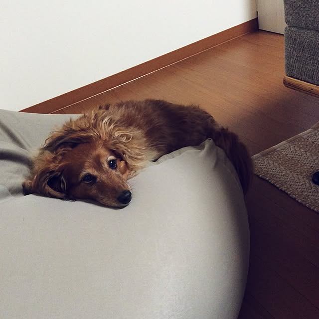 s_satomiさんの実例写真