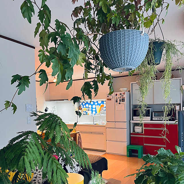 65-24oxoさんの実例写真