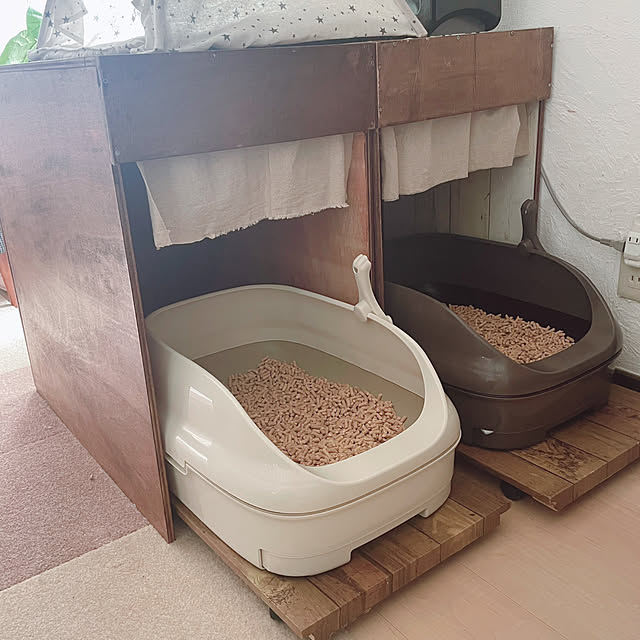 kotoriさんの部屋