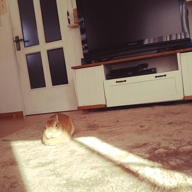 naochanさんの実例写真
