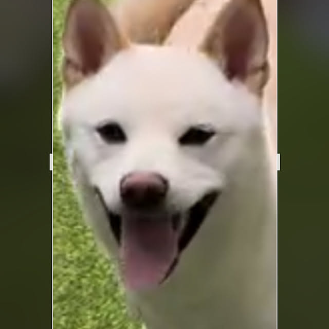 Toyomiさんの部屋