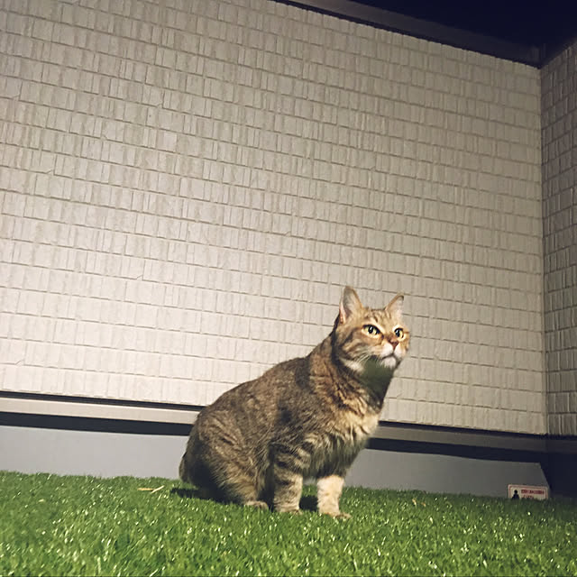 wonder9さんの実例写真