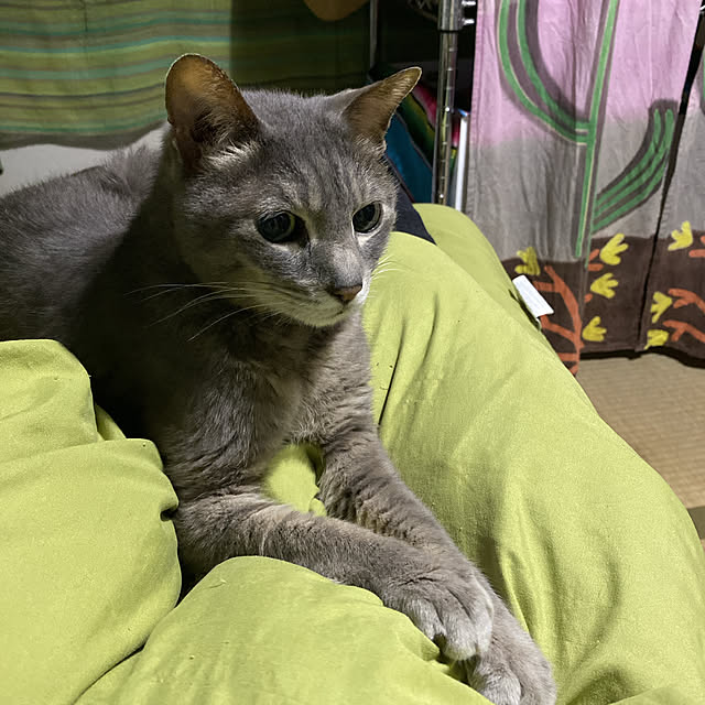 marimariさんの部屋