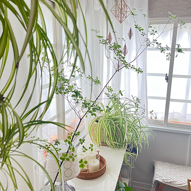 yukarimamaさんの部屋