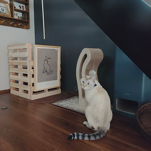 Atelier_tamakiさんの実例写真