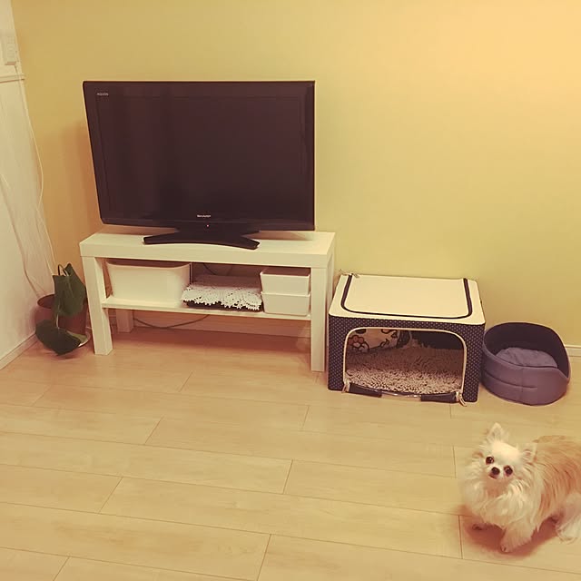 Aiさんの実例写真