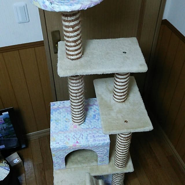 mzk5678910さんの実例写真
