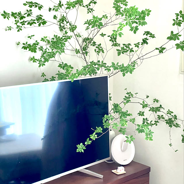 aさんの実例写真