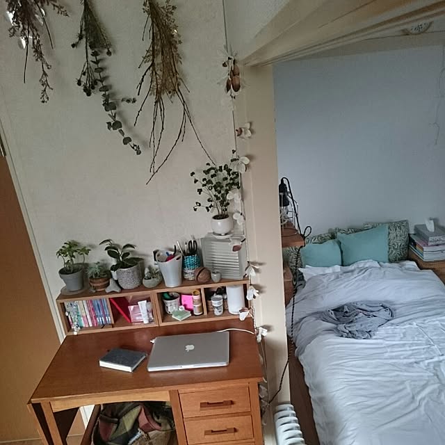 賃貸/植物/多肉植物/デスク/部屋全体のインテリア実例 - 2016-03-27 15:37:15