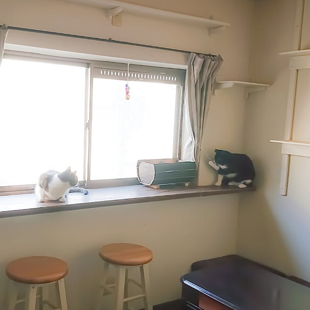 kai-ninatoさんの実例写真