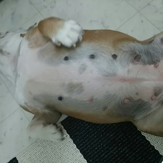 AandPさんの実例写真