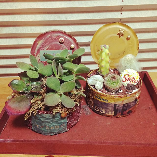 Yukoさんの実例写真