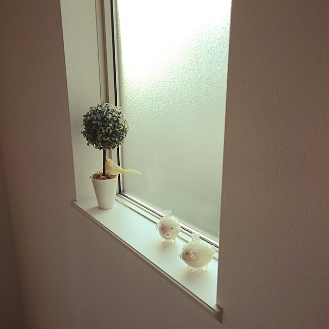 yuuuu_uiさんの実例写真