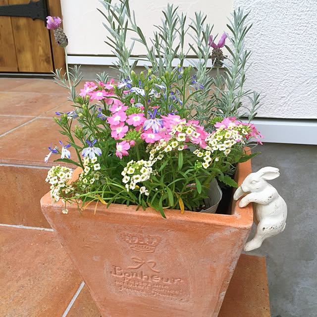 chiiさんの実例写真