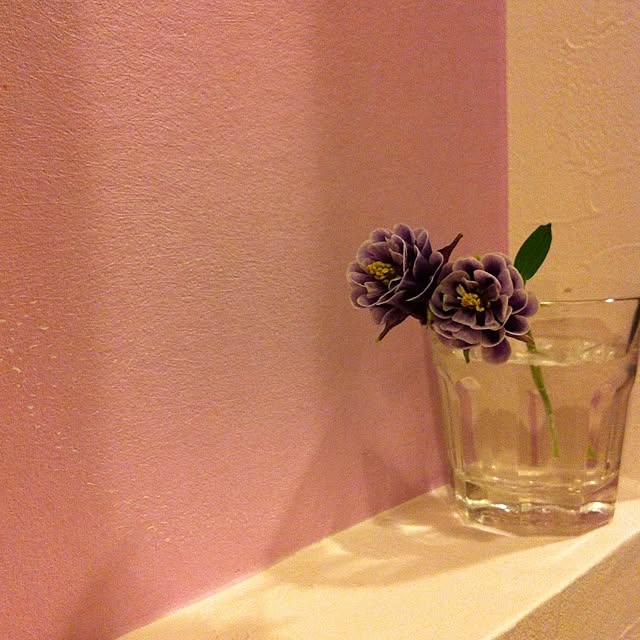 Mrsrerereさんの実例写真