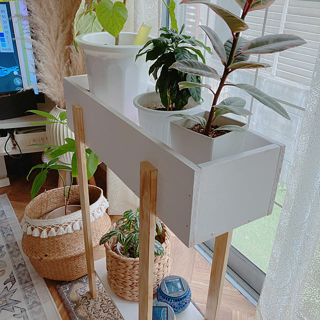 rumi_ebiさんの部屋