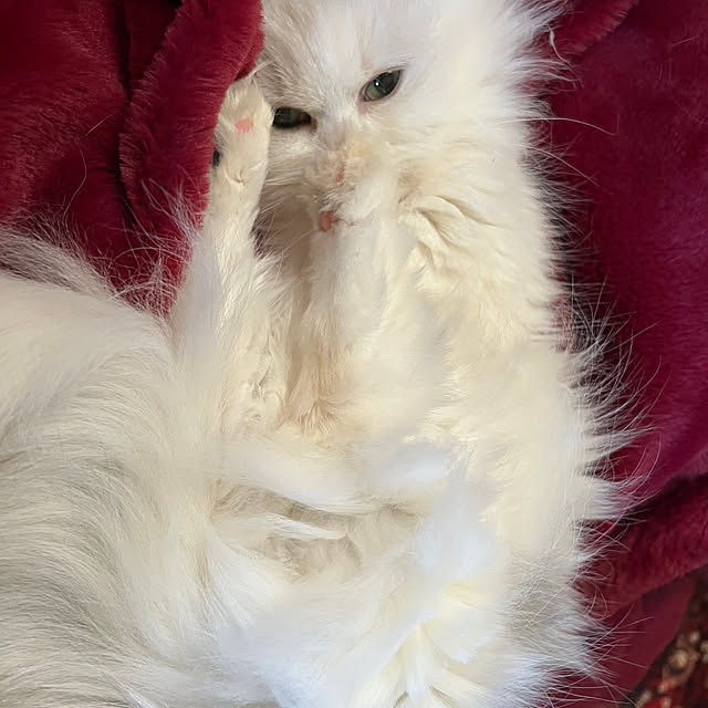 AYUKOさんの部屋