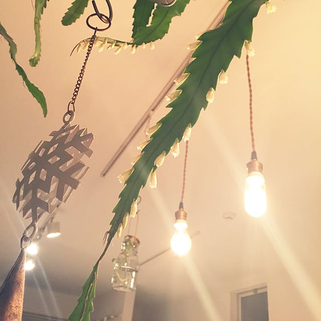 marley0209さんの実例写真