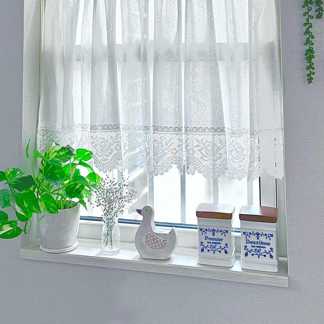 miminkoさんの部屋